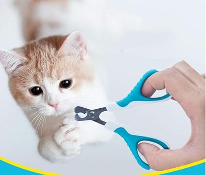 Liuqian Coupe Ongle Chat Ciseaux A Ongles Chat Ciseaux A Ongles Ongles Special Pour Animaux De Compagnie Coupe Ongles Chat Ongle Couteau Chat Fournit 95 65 7 Mm Amazon Fr Cuisine Maison