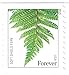 USPS Ferns Stamps - 50 Forever Stamps (5 Strips of 10 Stamps)