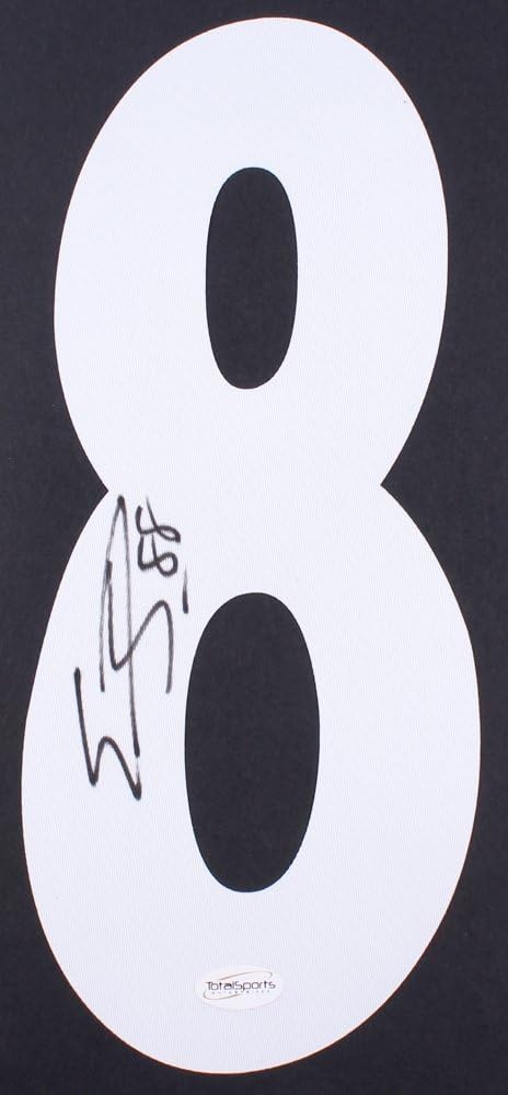 emmanuel sanders steelers jersey