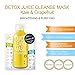 Ariul Detox Juice Cleanse Sheet Mask Bundle of 4 Premium Facial Face Detox Cleansing Sheet Mask Packs - Natural Skin Rejuvenation Therapy with Super Food Remedies