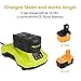FLAGPOWER P117 Dual Chemistry IntelliPort Lithium Ion & Ni-cad Ni-Mh Battery Charger 12V-18V MAX for Ryobi ONE+ Plus