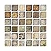 Menagerie Mini Stash by Tim Holtz Idea-ology, 36 Sheets, Double-Sided Cardstock, 8 x 8 Inch, Multicolored, TH93111
