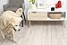 Petcube [2017 Item Play Smart Pet Camera with Interactive Laser Toy. Remote Dog/Cat Monitoring with HD 1080p Video, Two-Way Audio, Night Vision, Sound/Motion Alerts. App-Enabled Pet and Home Safety
