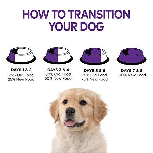 Wellness Natural Pet Food Complete Health Natural Dry Large Breed Puppy