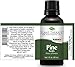 Plant Therapy Scots Pine Essential Oil 30 mL (1 oz) 100% Pure, Undiluted, Therapeutic Grade