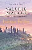 Front cover for the book Italian Fever by Valerie Martin