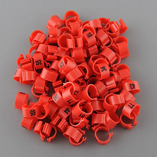 100 Numbered Chicken Leg Bands (red) 437