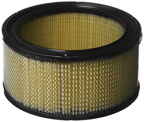 Oregon 30-093 Air Filter Kohler Cub Cadet