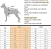 PETCEE Waterproof Dog Winter Jacket, Windproof Polyester Fleece Lined Pet Coat with Reflective Vest for Small Medium Dogs - 2 Layer (Orange M)