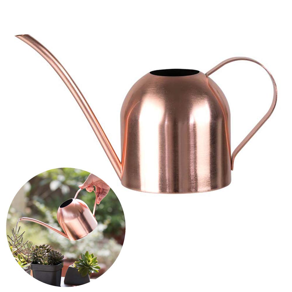 Stainless Steel Watering Can, Small Long Mouth Watering Pot for House Indoor Outdoor Garden Succulent Plants 500ML (Rose Gold)