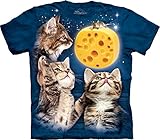 The Mountain Men's Three Kitten Cheese Moon T-Shirt, Blue, Large