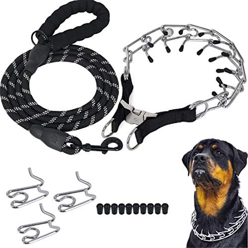 Professional dog collars Clearance