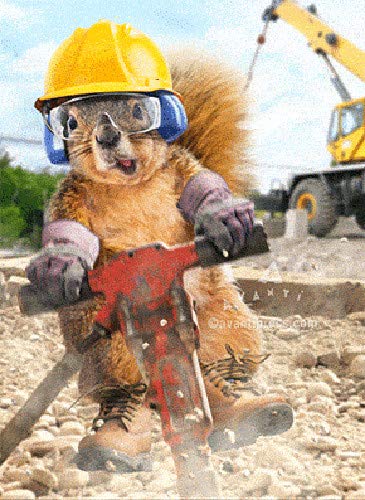 Jackhammer Squirrel Lenticular Motion Funny Birthday Card