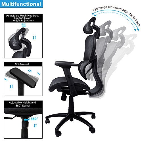 Mysuntown Ergonomic Mesh Office Chair with Back Support, Adjustable Headrest & Adjustable Armrest Lumber Support Desk Executive & Task Chair for Home Office Conference Room