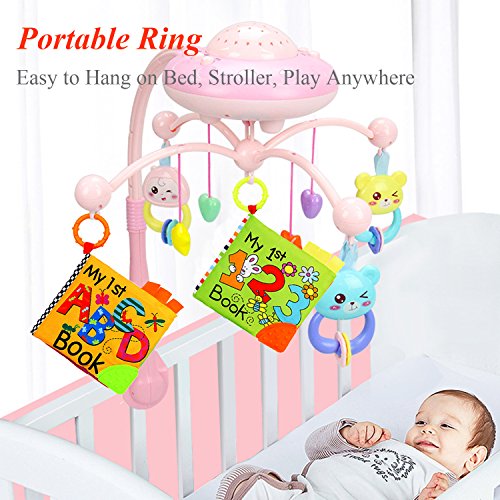 1 Kingtree+Crinkle+Alphabetic+Education+Learning