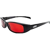 Global Vision New Attitude Motorcycle Glasses