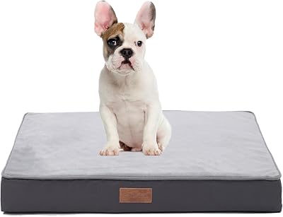 Jaspuriea Small Orthopedic Dog Bed 60x45x9cm Waterproof Cover Grey