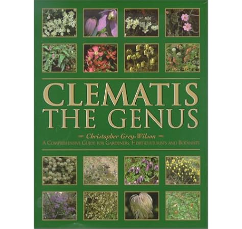 ナイキ タンジュン 白 Amazon Lsqa Com Uy