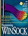 Programming Winsock/Book and Disk by