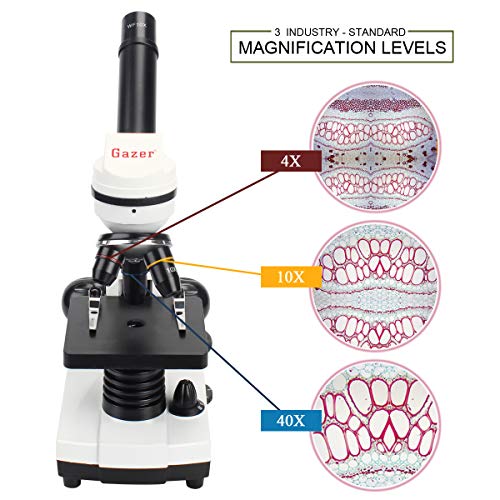 GazerOptics Science Microscope Kit for Kids Students with Prepared Specimen Slides and Smartphone Adapter, 40x-1280x Magnification - A Real Scientific Tool for STEM Learning