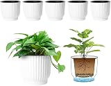 T4U Mini Self Watering Plant Pots 6 Pack 10cm White Plastic Indoor Planters