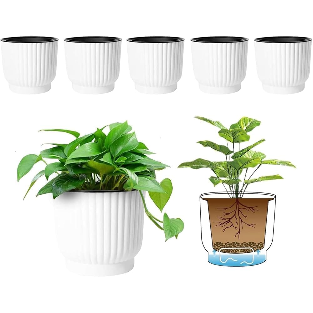T4U 15cm Self Watering Plant Pots Indoor, 6 Pack Indoor Plant Pot, White Plastic Flower Pots, House Plant Pots for Indoor Outdoor Plants, Succulent, Cactus, African Violets, Spider Plants
