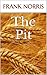 The Pit: A Story of Chicago