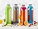 Swig Savvy Glass Water Bottle, Leakproof Lid, Silicone Sleeve, 20 oz (Gray)