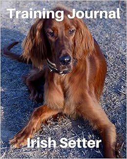 irish setter training