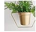 RISEON Set of 2 Boho Brass Gold Geometric Metal Plant Hanger,Hanging Plant Pot, Modern Planter, Mid Century Plant Holder, Minimalist Planter for Indoor Outdoor Home Wedding Decor (Gold)