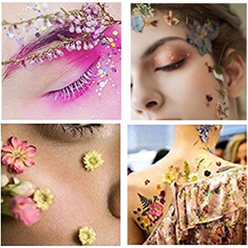 Aunifun Real Dried Pressed Flowers Assorted Colorful Daisies for Art Craft DIY Silicone Coaster Resin Molds - Thumbnail 5