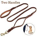FOCUSPET Heavy Duty Leather Dog Leash with 2 Handles,Padded Traffic Handle For Extra Control,6Ft Dog Training Walking Leashes for Medium Large Dogs