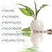 NARDO'S NATURAL Coconut Oil Lip Gloss (Glaze/Clear)