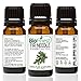 BioFinest Fir Needle Oil - 100% Pure Fir Needle Essential Oil - Calm Mind, Reduce Fatigue, Ache, Arthritis - Premium Quality - Therapeutic Grade - Best For Aromatherapy - FREE E-Book (10ml)
