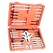 HFS (R) 46 Pcs Harmonic Balancer Puller - Gear Puller, Crank Shaft Pulley, Steering Wheel Kit Pulley Yoke Crank, Storage Case primary
