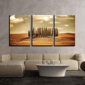 3 Piece Canvas Wall Art - Beautiful Autumn Vintage Landscape, Several Lonely Trees in Golden Dry Field - Modern Home Art Stretched and Framed Ready to Hang - 16"x24"x3 Panels