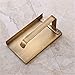 Leyden Antique Brass Toilet Paper Holder, Bathroom Tissue Roll Holder with Phone Shelf Stand Wall Mounted