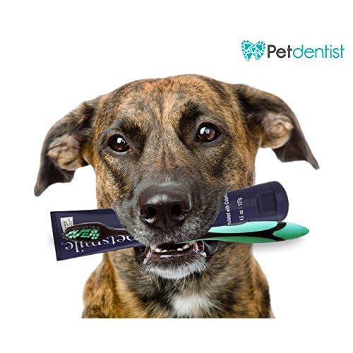 cover the hexagon dog toothbrush