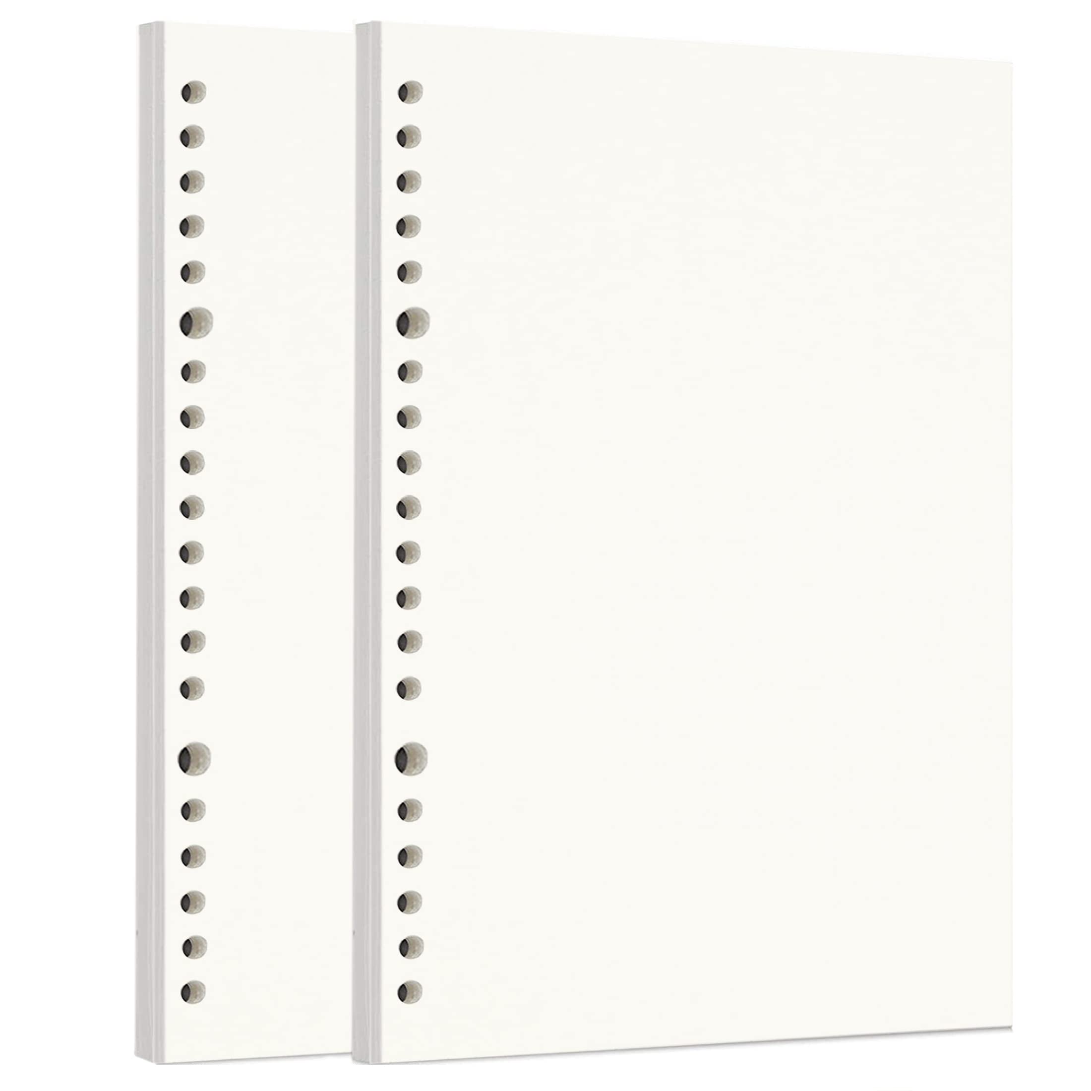 Zelten Loose Leaf Punched Paper Refills Paper for 6 Hole Binder Personal Organizer Diary Notebook Refillable Planner (Sketch,A5/20 Hole)