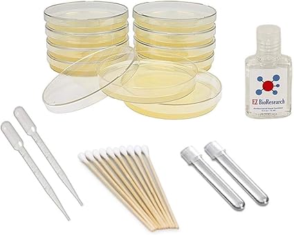 Amazon Com Ez Bioresearch Bacteria Science Kit I Pre Poured Lb Agar Plates And Cotton Swabs E Book For Science Fair Project With Award Winning Experiments Toys Games