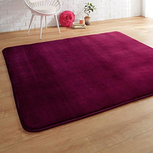 Fashion Zebra anti-skidding against the kitchen-bathroom mats in the Hall/doormat/floor mat-G 70x200cm(28x79inch)