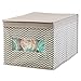 InterDesign Chevron Fabric Closet Organizer Box – Soft Storage Bin for Clothing, Shoes, Handbags, Linen - Large, Taupe/Natural