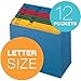 Globe Weis Globe-Weis/Pendaflex QuickVue Project File, Monthly Index, Letter Size, Blue (20135)