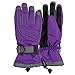 Women's Classic Waterproof Ski Glove (Purple & Grey, Small/Medium)