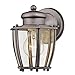 Westinghouse Lighting 6468800 One-Light, Antique Silver Finish with Clear Curved Glass Outdoor Wall Fixture