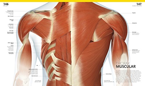 The Complete Human Body, 2nd Edition: The Definitive Visual Guide - Thumbnail 4