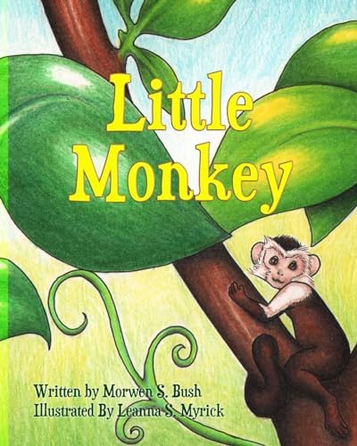 Night Monkey, Day Monkey: Donaldson, Julia, Richards, Lucy