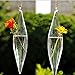 Mkono 3 Pack Hanging Plant Terrarium Teardrop Glass Vase