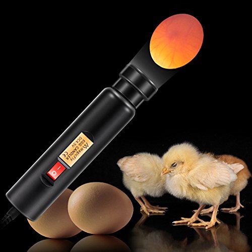 Magicfly Battery Operated Egg Candler Tester,Bright Cool LED Light Candling Lamp,Support Power Supply and Battery(Not Included) Power - Incubator Warehouse Exclusive