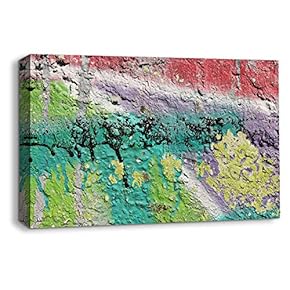 Canvas Wall Art for Living Room,Bedroom Home Artwork Paintings Creative Graffiti Ready to Hang - 12x18 inches